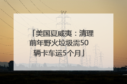 美国夏威夷：清理前年野火垃圾需50辆卡车运5个月