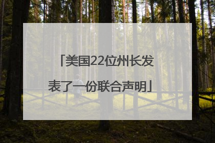 美国22位州长发表了一份联合声明