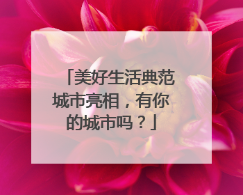 美好生活典范城市亮相，有你的城市吗？