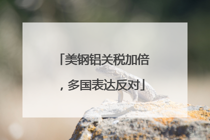 美钢铝关税加倍，多国表达反对