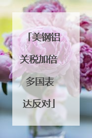 美钢铝关税加倍 多国表达反对