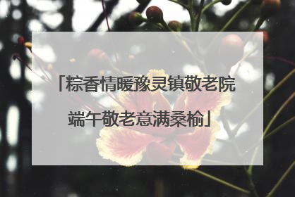 粽香情暖豫灵镇敬老院 端午敬老意满桑榆