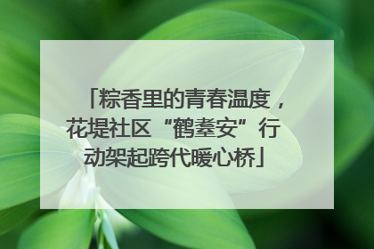 粽香里的青春温度，花堤社区“鹤耋安”行动架起跨代暖心桥