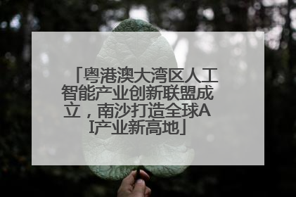 粤港澳大湾区人工智能产业创新联盟成立，南沙打造全球AI产业新高地