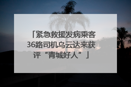 紧急救援发病乘客 36路司机乌云达来获评“青城好人”