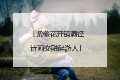 紫薇花开铺满径 诗画交融醉游人