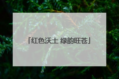 红色沃土 绿韵旺苍