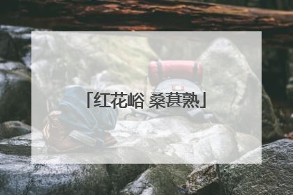 红花峪 桑葚熟