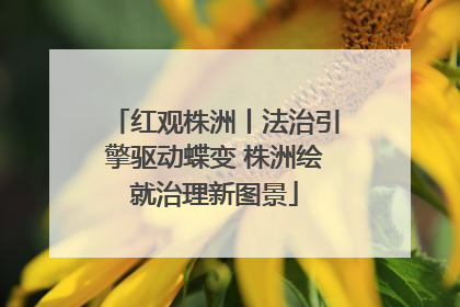 红观株洲丨法治引擎驱动蝶变 株洲绘就治理新图景
