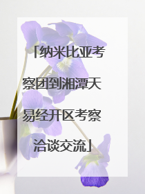 纳米比亚考察团到湘潭天易经开区考察洽谈交流