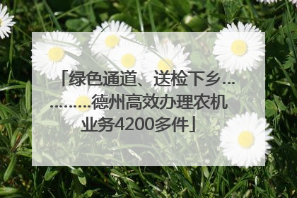 绿色通道、送检下乡…………德州高效办理农机业务4200多件