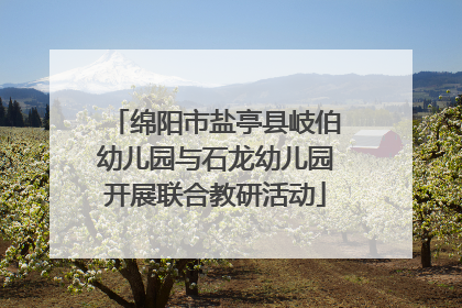 绵阳市盐亭县岐伯幼儿园与石龙幼儿园开展联合教研活动