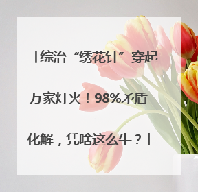 综治“绣花针”穿起万家灯火！98%矛盾化解，凭啥这么牛？