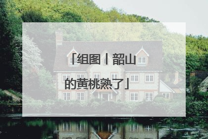 组图丨韶山的黄桃熟了