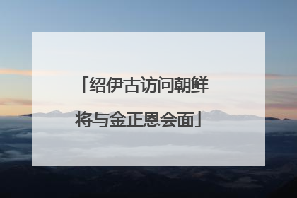 绍伊古访问朝鲜 将与金正恩会面