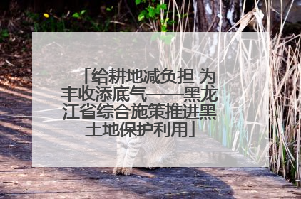 给耕地减负担 为丰收添底气——黑龙江省综合施策推进黑土地保护利用