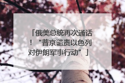俄美总统再次通话！“普京谴责以色列对伊朗军事行动”