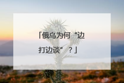 俄乌为何“边打边谈”？