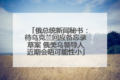 俄总统新闻秘书：待乌克兰回应备忘录草案 俄美乌领导人近期会晤可能性小
