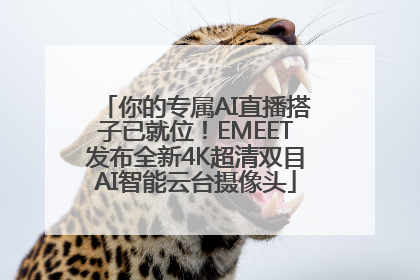 你的专属AI直播搭子已就位！EMEET发布全新4K超清双目AI智能云台摄像头