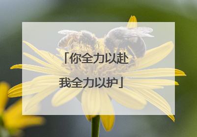 你全力以赴 我全力以护