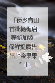侨乡青田首批杨梅启程新加坡 保鲜提质售出“金果果”