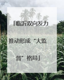 临沂双向发力推动形成“大监督”格局