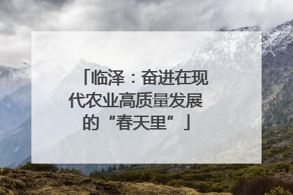 临泽：奋进在现代农业高质量发展的“春天里”