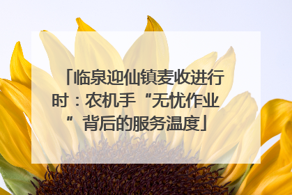 临泉迎仙镇麦收进行时：农机手“无忧作业”背后的服务温度