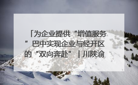 为企业提供“增值服务”巴中实现企业与经开区的“双向奔赴”｜川陕渝网络名人巴中行