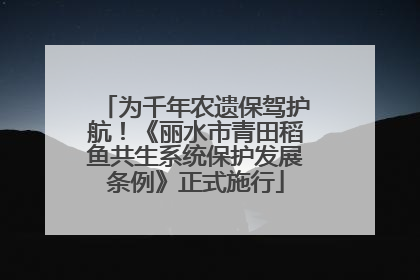 为千年农遗保驾护航！《丽水市青田稻鱼共生系统保护发展条例》正式施行