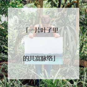 一片叶子里的共富脉络