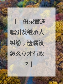 一份录音遗嘱引发继承人纠纷，遗嘱该怎么立才有效？