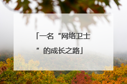 一名“网络卫士”的成长之路