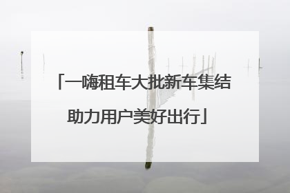 一嗨租车大批新车集结 助力用户美好出行