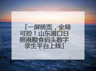 一屏统览，全局可控！山东港口日照港粮食码头数字孪生平台上线