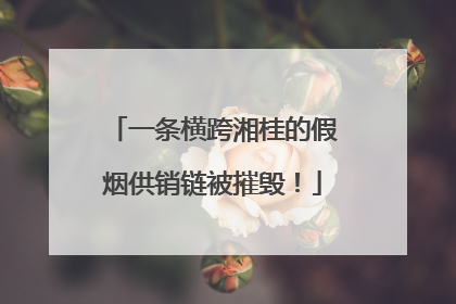 一条横跨湘桂的假烟供销链被摧毁！