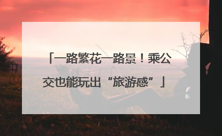 一路繁花一路景！乘公交也能玩出“旅游感”