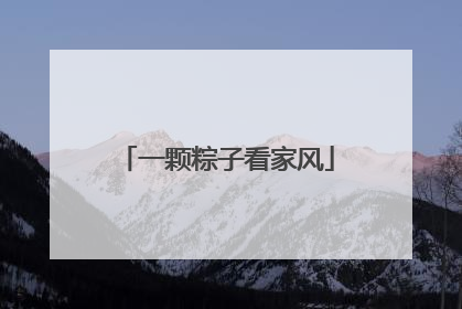 一颗粽子看家风