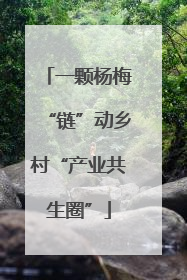 一颗杨梅“链”动乡村“产业共生圈”