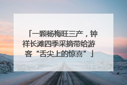 一颗杨梅旺三产，钟祥长滩四季采摘带给游客“舌尖上的惊喜”