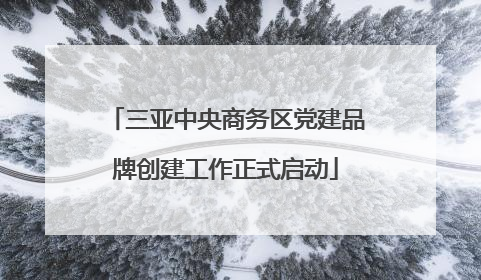 三亚中央商务区党建品牌创建工作正式启动