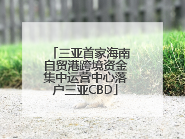 三亚首家海南自贸港跨境资金集中运营中心落户三亚CBD
