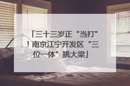 三十三岁正“当打”！南京江宁开发区“三位一体”挑大梁