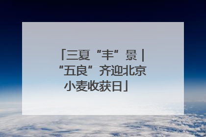 三夏“丰”景｜“五良”齐迎北京小麦收获日