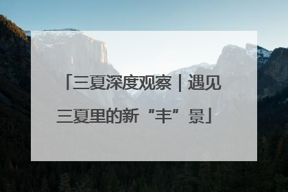 三夏深度观察｜遇见三夏里的新“丰”景