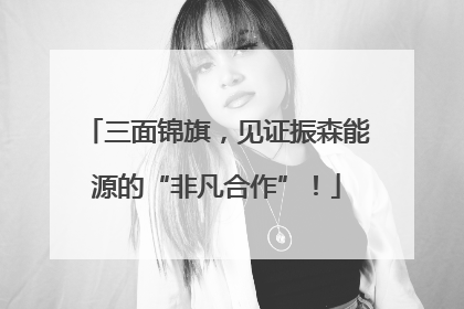 三面锦旗，见证振森能源的“非凡合作”！