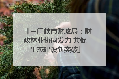 三门峡市财政局：财政林业协同发力 共促生态建设新突破