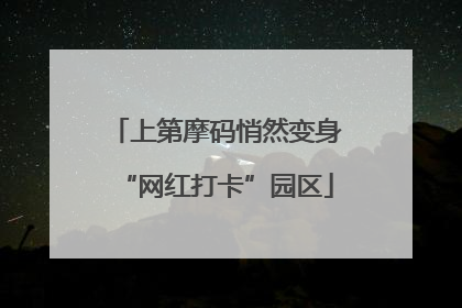 上第摩码悄然变身“网红打卡”园区