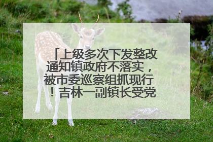 上级多次下发整改通知镇政府不落实，被市委巡察组抓现行！吉林一副镇长受党内警告处分